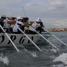 Palio Marinaro Livorno - Sezione Nautica Borgo