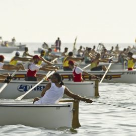 Palio Marinaro Livorno - Foto di Marco Filippelli