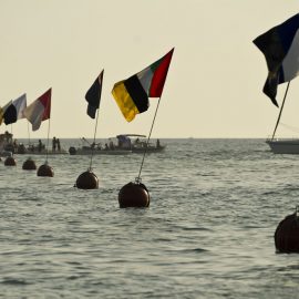 Palio Marinaro Livorno - Foto di Marco Filippelli