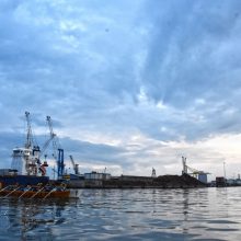 Palio Marinaro Livorno - Sezione Nautica Pontino