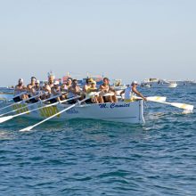 Palio Marinaro Livorno 2016 (Ovo Sodo) - Foto di Marco Filippelli