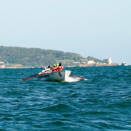 Palio Marinaro Livorno - Ph Marco Filippelli 08