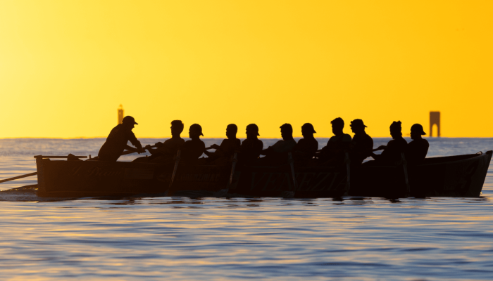 Anteprima della news