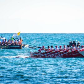 Anteprima della news