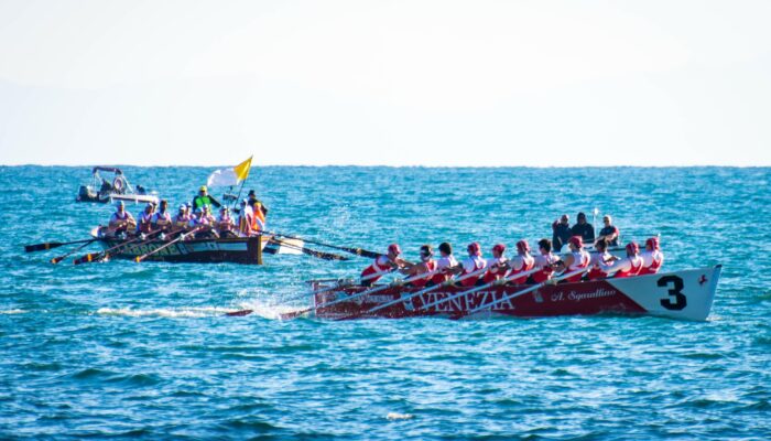 Anteprima della news